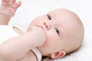 Egg Donor Agencies
